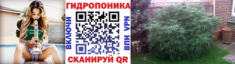 Купить наркотики сайты Малаховка ГАШИШ  МДМА  АМФЕТАМИН  COCAIN  Мефедрон  СК 