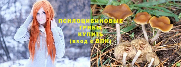 круглые Алзамай