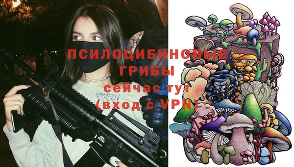 прущие крисы Медвежьегорск