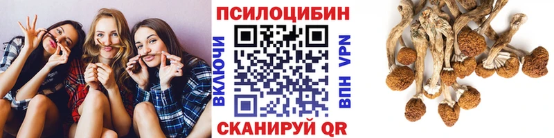 дарк нет состав  хочу наркоту  Малаховка  Псилоцибиновые грибы MAGIC MUSHROOMS 